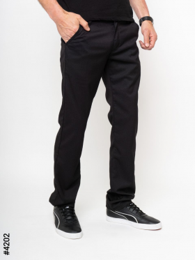 No Brand 4202 black (деми) брюки мужские
