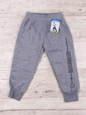 No Brand Y6 grey (деми) штаны спорт детские